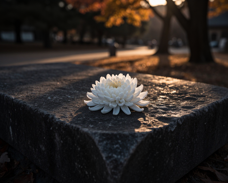 Symbolic Memorial of Peace